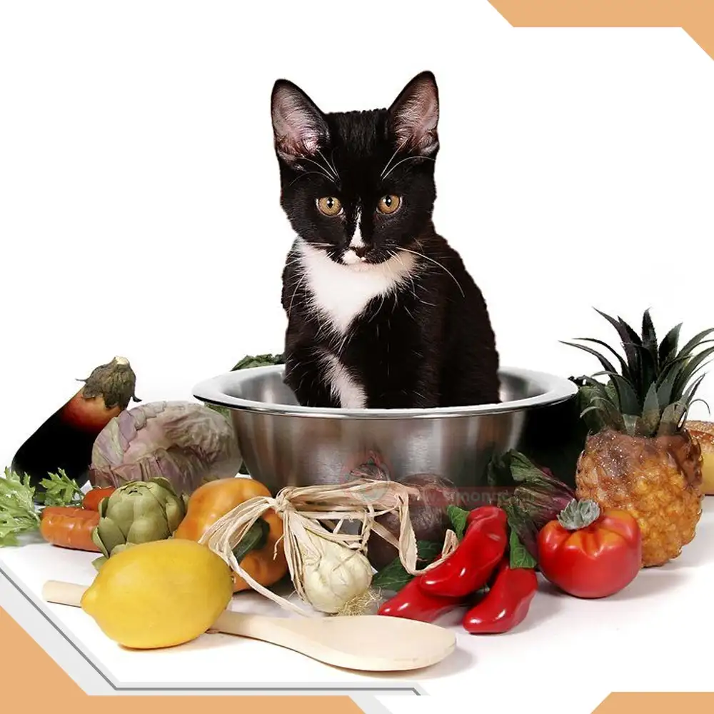 دیگر غذاهای مضر برای گربه ها