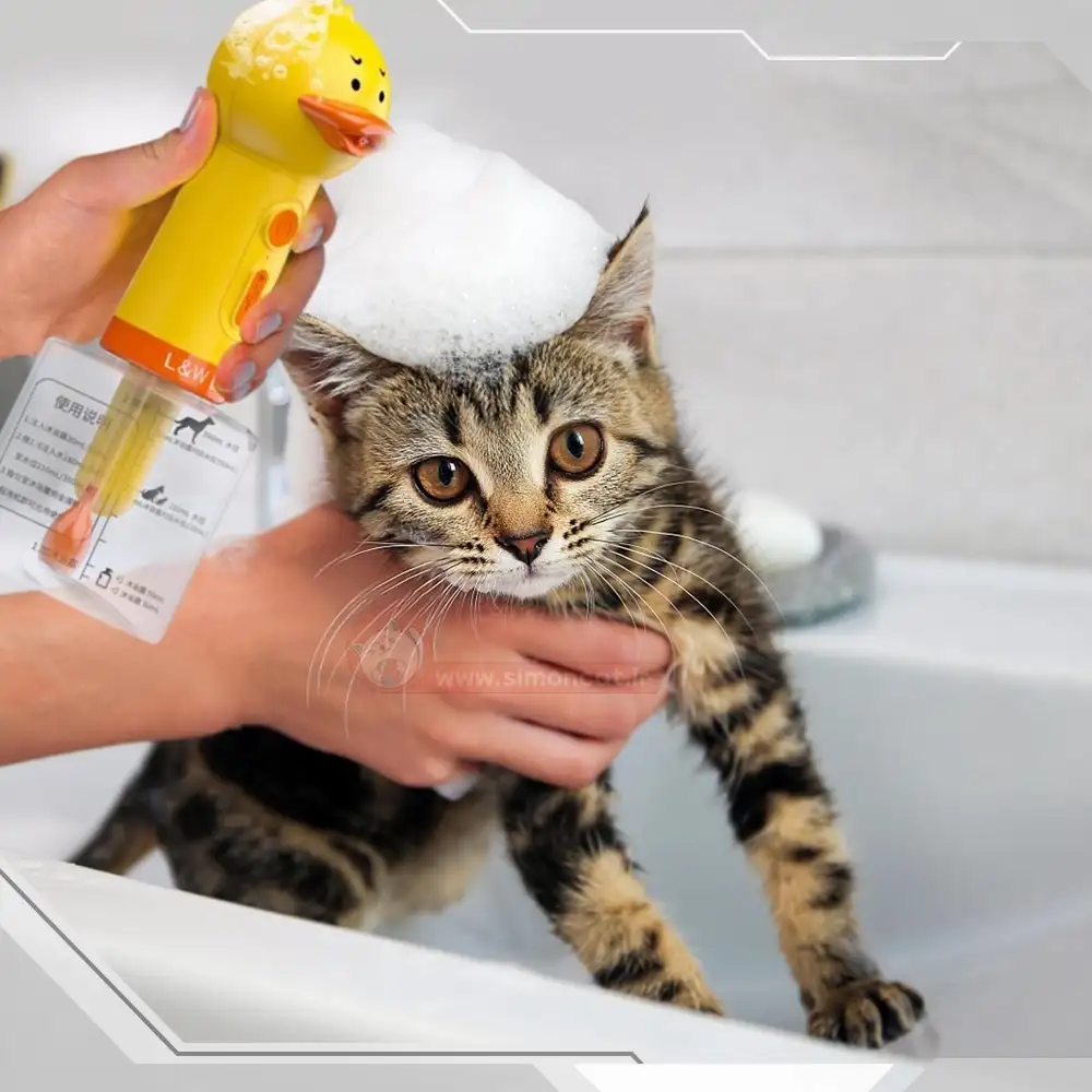 فواید شستن گربه