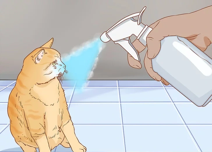آب پاشیدن به پت
