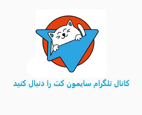 ظاهر یا اخلاق گربه - فروش گربه | خرید گربه - فروش گربه پرشین - پانسیون گربه