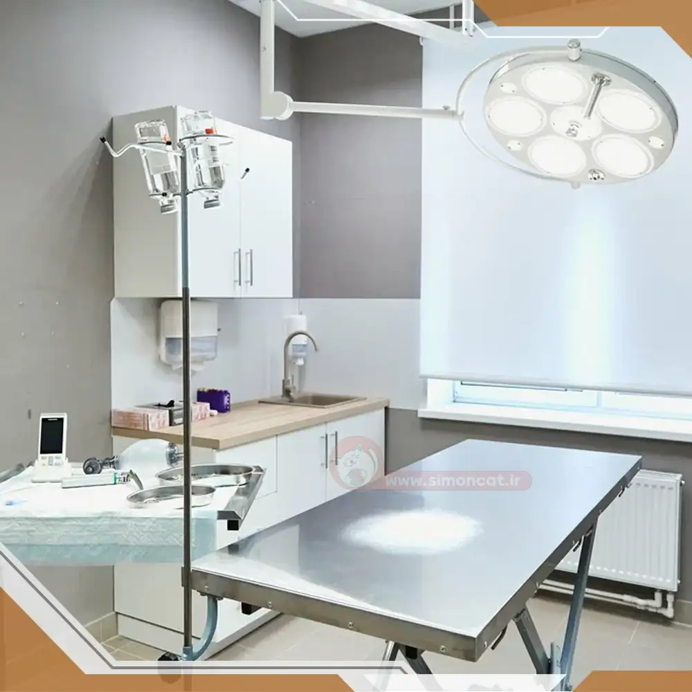 نظافت و پاکیزگی کلینیک دامپزشکی باید به چه صورت باشد؟