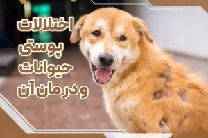 اختلالات پوستی حیوانات و درمان آن