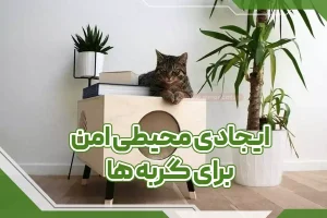 ایجاد محیطی امن برای گربه ها