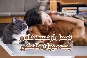 تحمل از دست دادن یک حیوان خانگی
