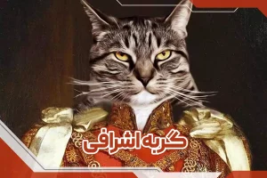 گربه اشرافی