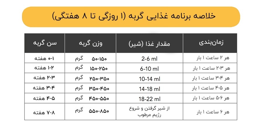 جدول غذایی بچه گربه