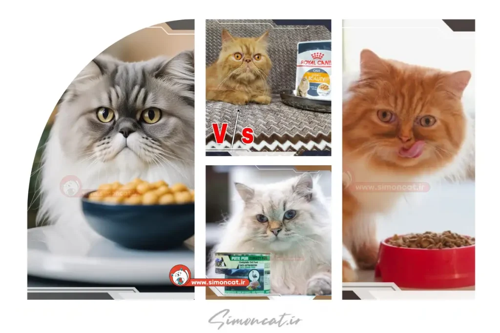 قیمت غذای گربه پرشین