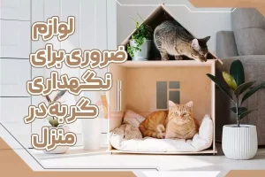 لوازم ضروری برای نگهداری گربه در منزل