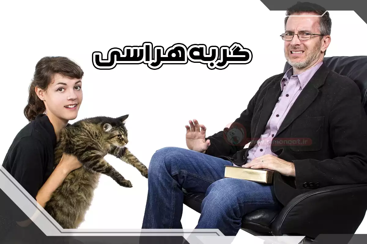 ترسیدن از گربه
