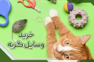 خرید وسایل گربه