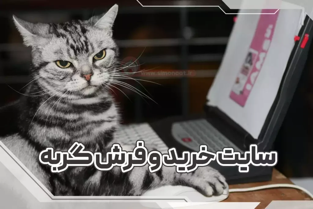سایت خرید گربه-سایت فروش گربه