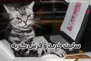 سایت خرید گربه-سایت فروش گربه