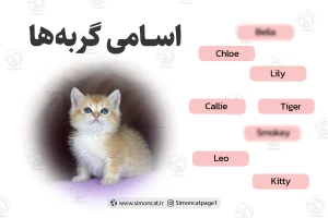 اسامی گربه