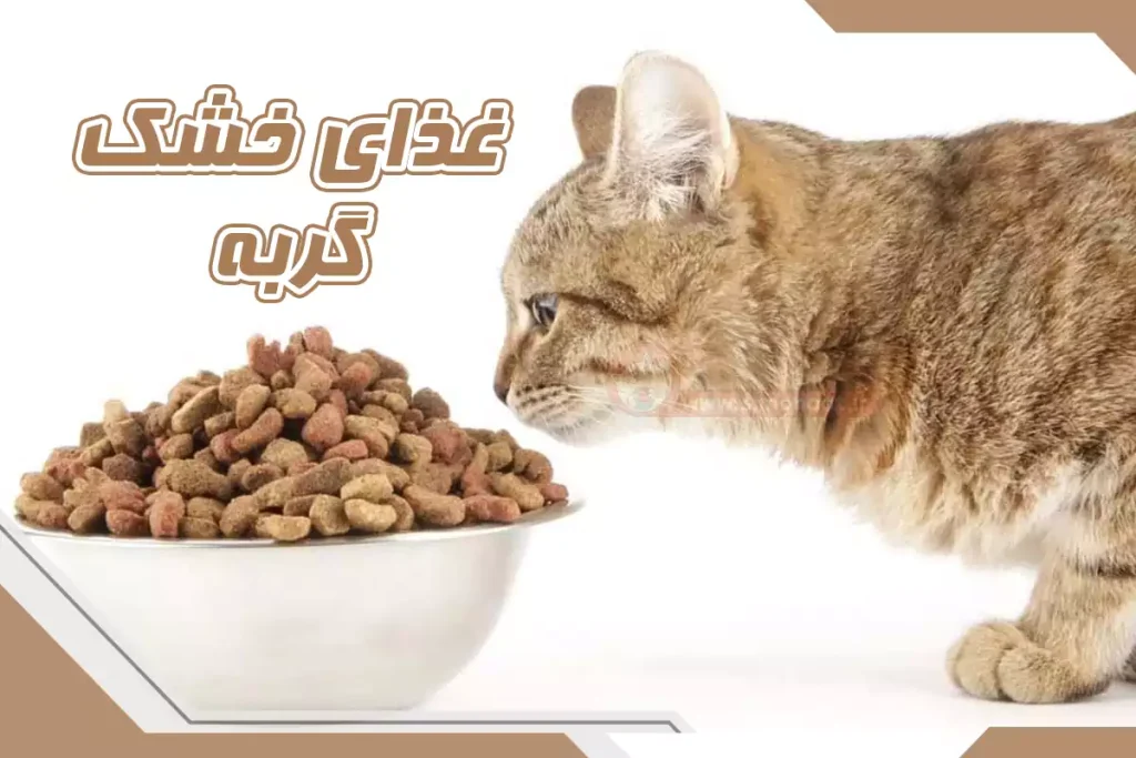 انواع غذای خشک گربه