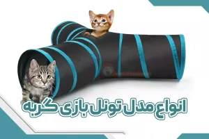 انواع مدل تونل بازی گربه