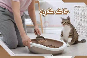 خاک گربه