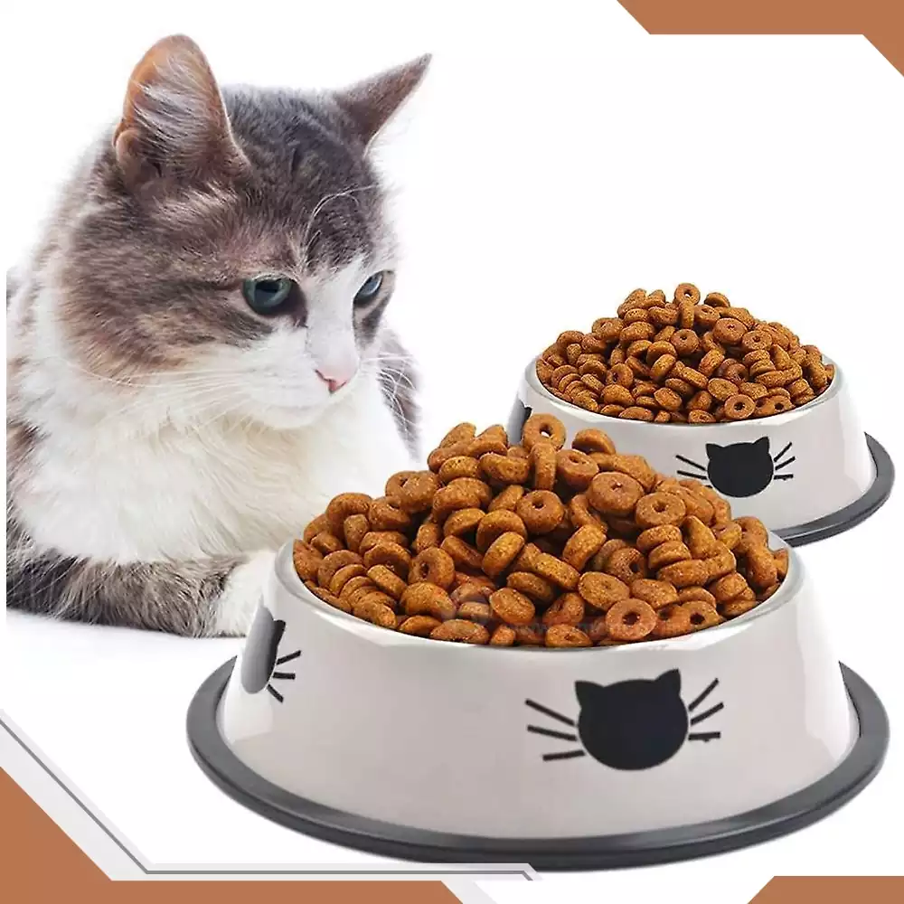 ظرف استیل برای غذای گربه