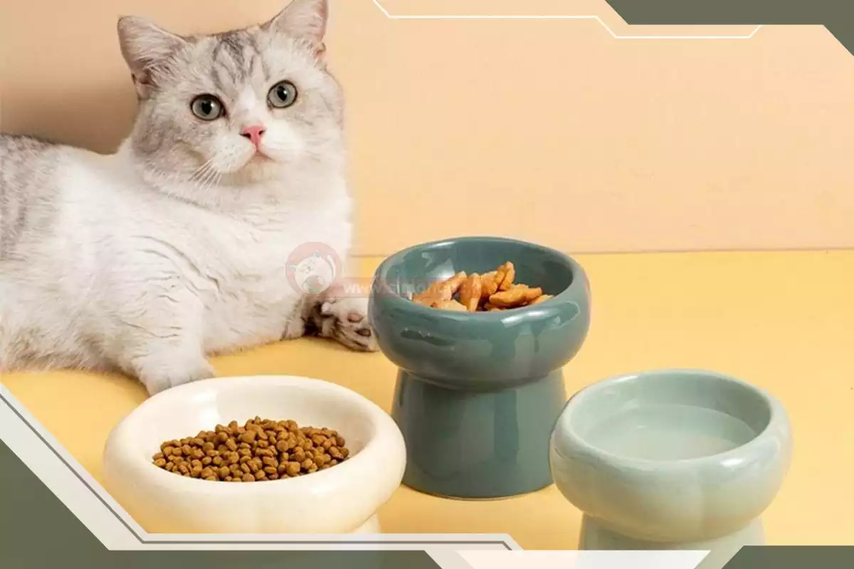 ظروف لعابی غذای گربه