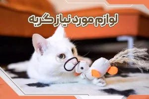 لوازم مورد نیاز گربه