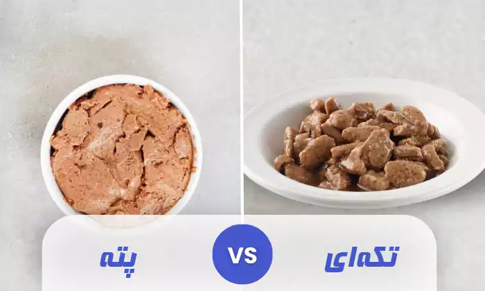 انواع غذای تر گربه