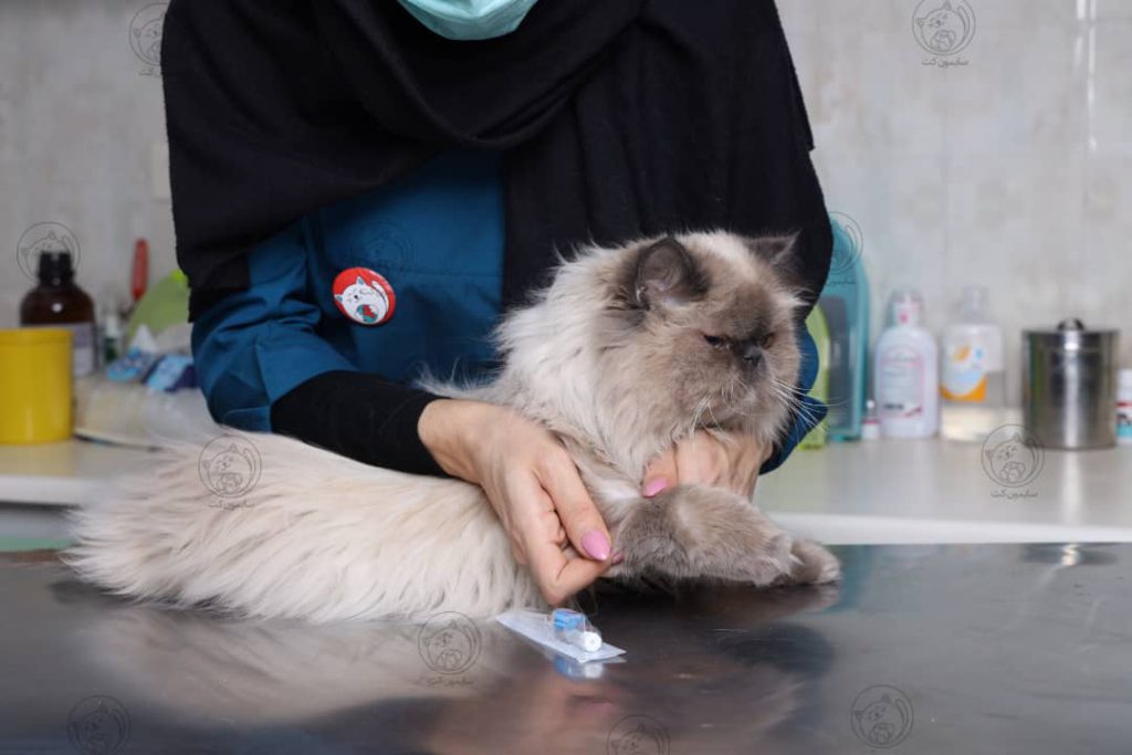 بیماری کم خونی