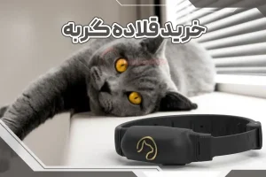 خرید قلاده گربه