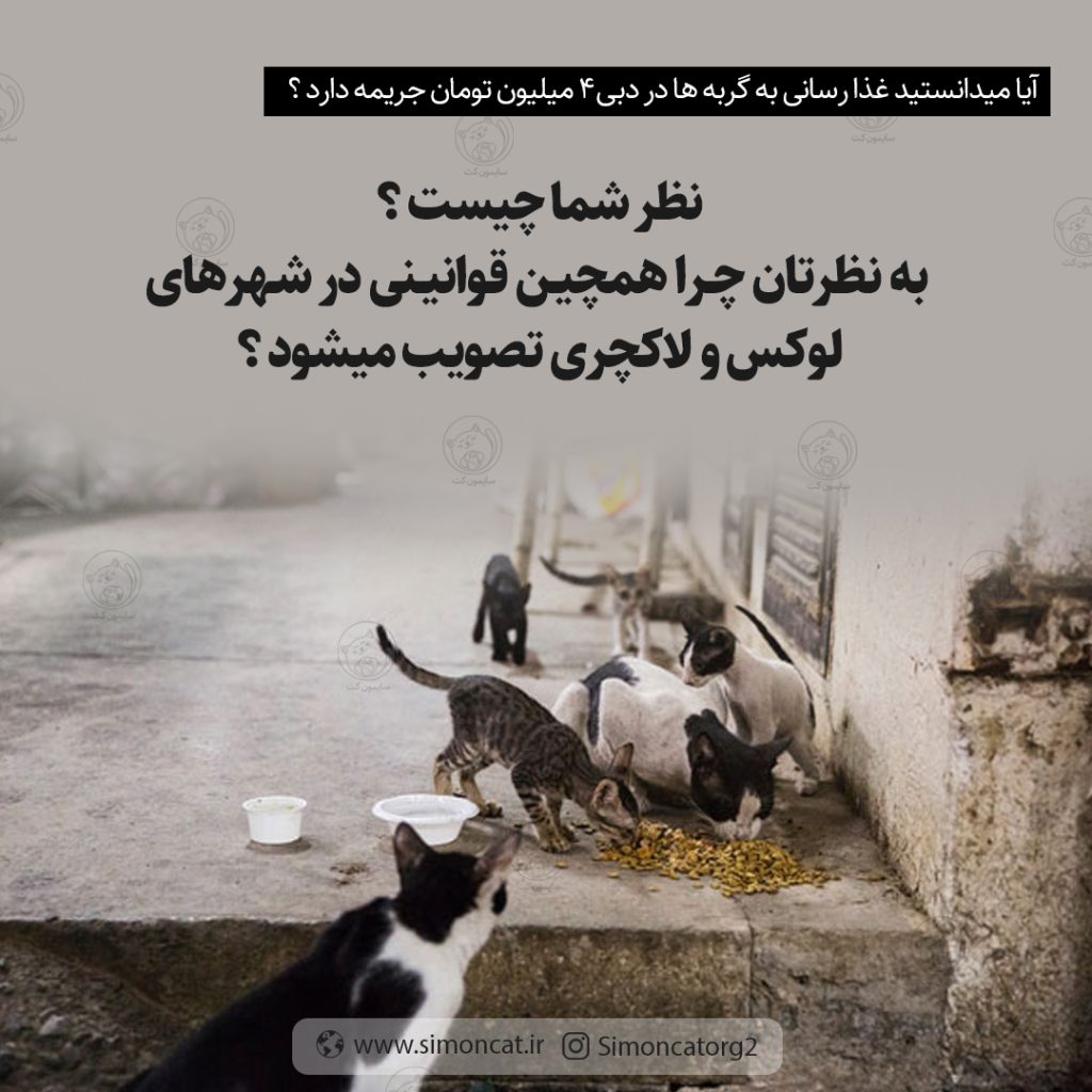 خیرین غذارسان در دبی