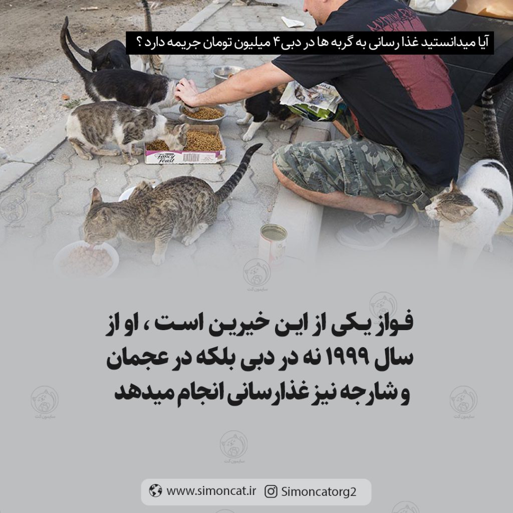 دبی شهر تجملاتی