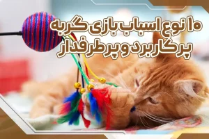 ده نوع اسباب بازی پرکاربرد و پر طرفدار