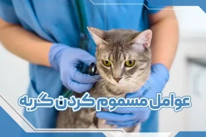 عوامل مسموم کننده گربه