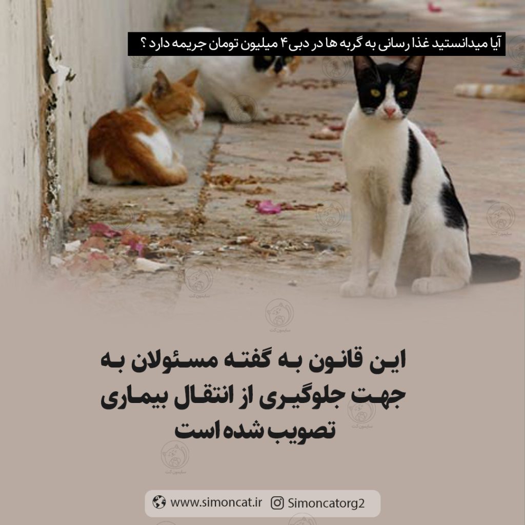 غذارسانی در دبی