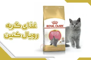 غذای گربه رویال کنین