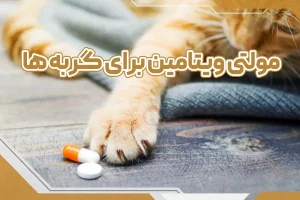 مولتی ویتامین برای گربه ها