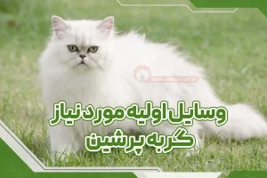 وسایل اولیه مورد نیاز گربه پرشین