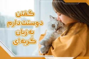 گفتن دوستت دارم به زبان گربه ای