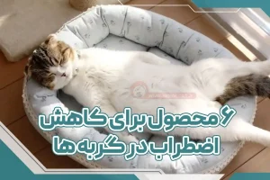 6 محصول برای کاعش اضطراب در گربه ها