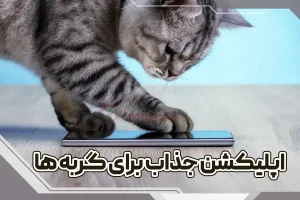اپلیکیشن جذاب برای گربه