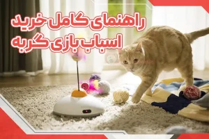 راهنمای کامل خرید اسباب بازی