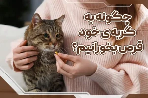 چگونه به گربه خود قرص بخورانیم؟