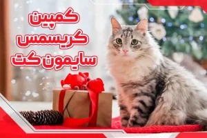 کمپین کریسمس سایمون کت