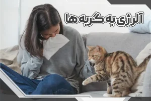 آلرژی به گربه ها