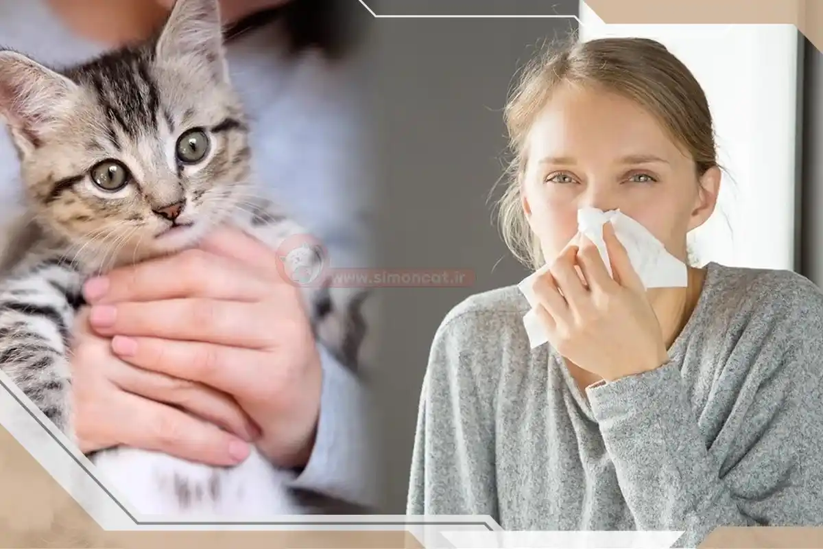 آلرژیک بودن به گربه