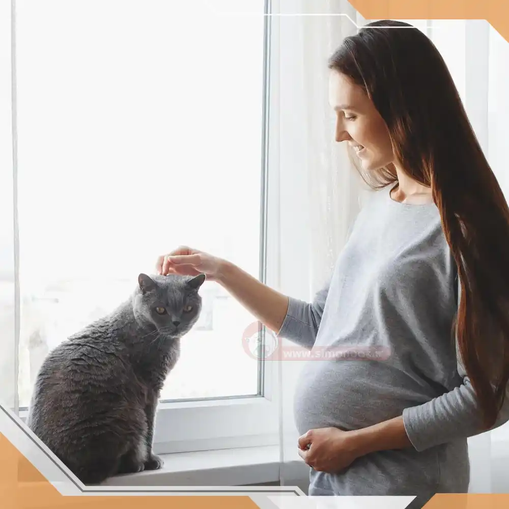 بیماری مشترک بین گربه و زنان باردار