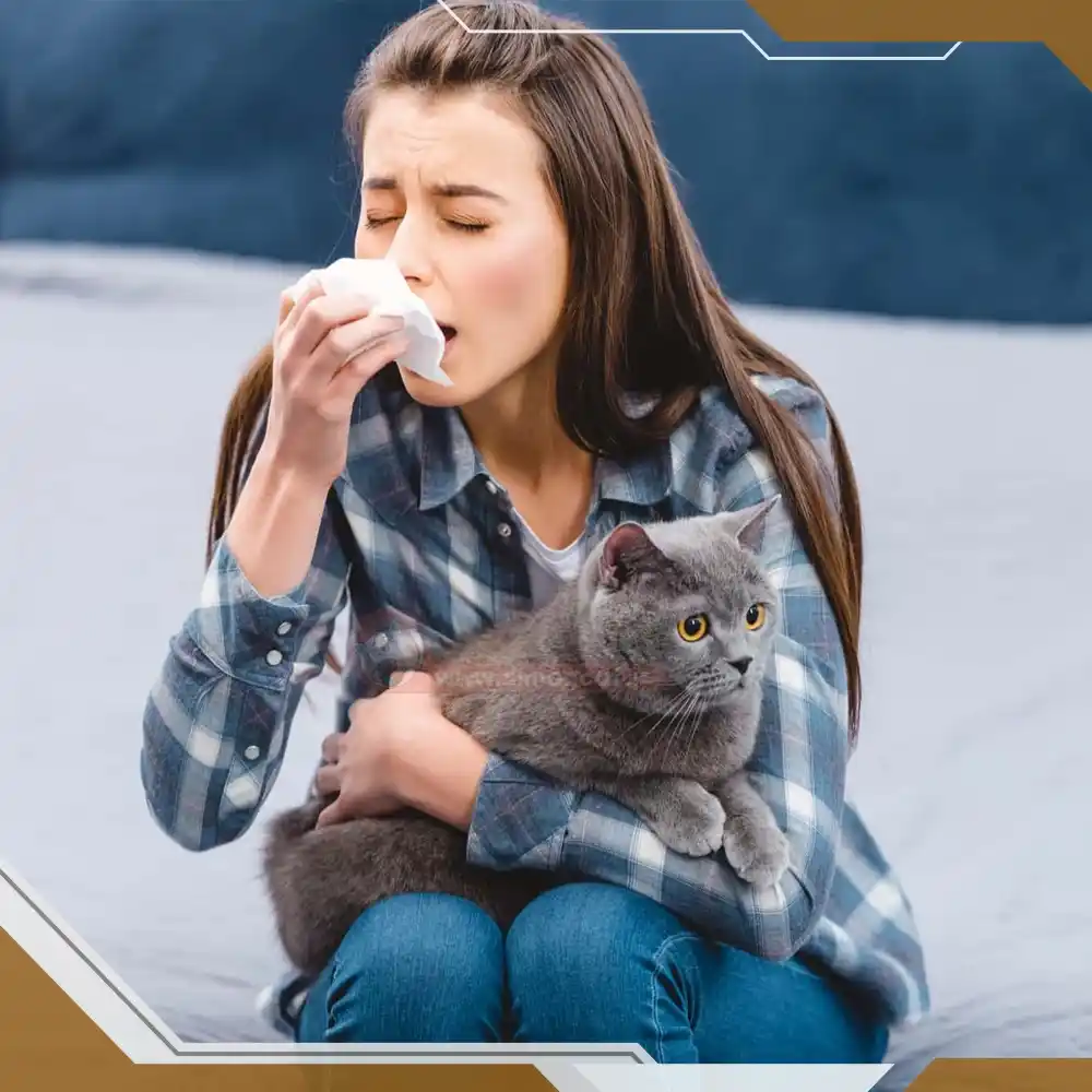 حساس به گربه