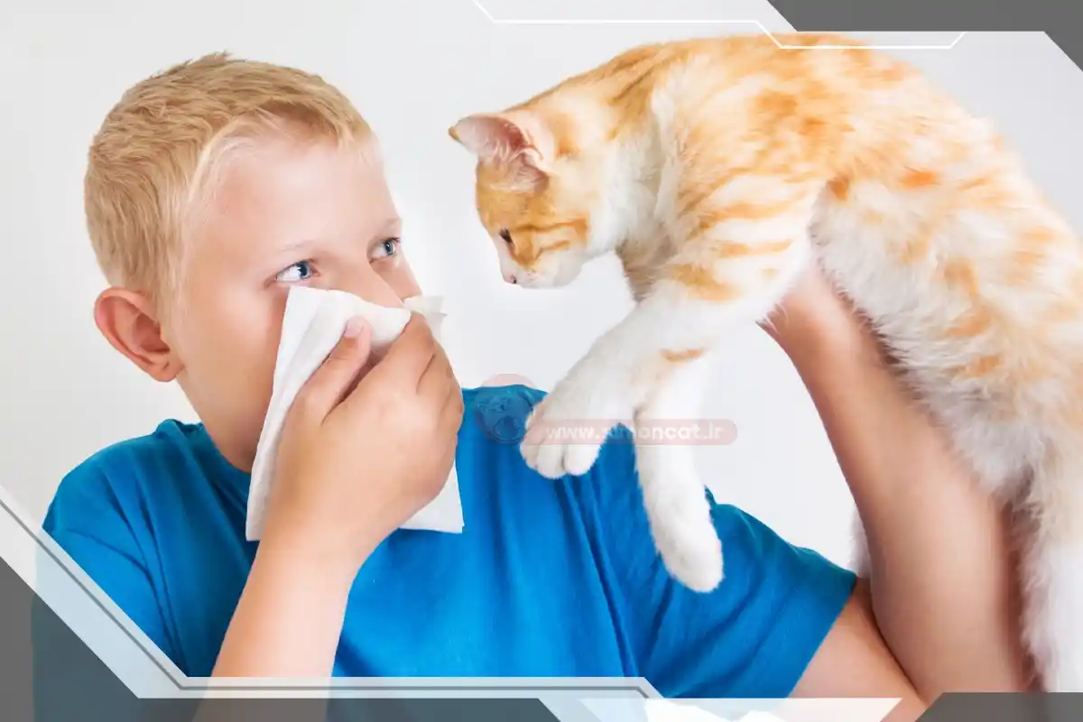 حساسیت به گربه