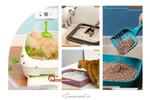 راه حل برای اینکه گربه شما خارج از جعبه خاک دستشویی نکند