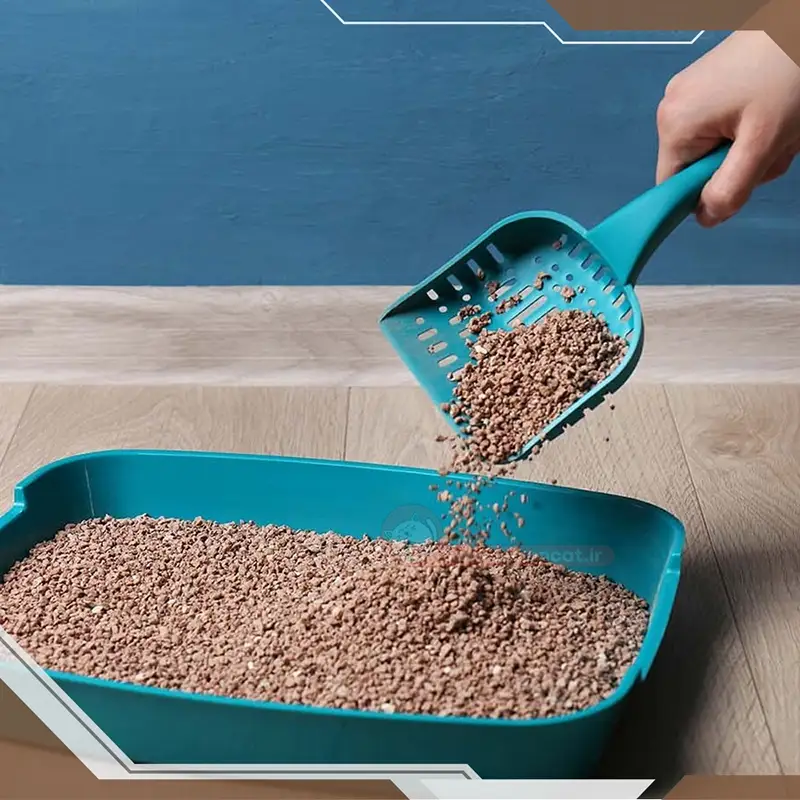 ظرف خاک گربه