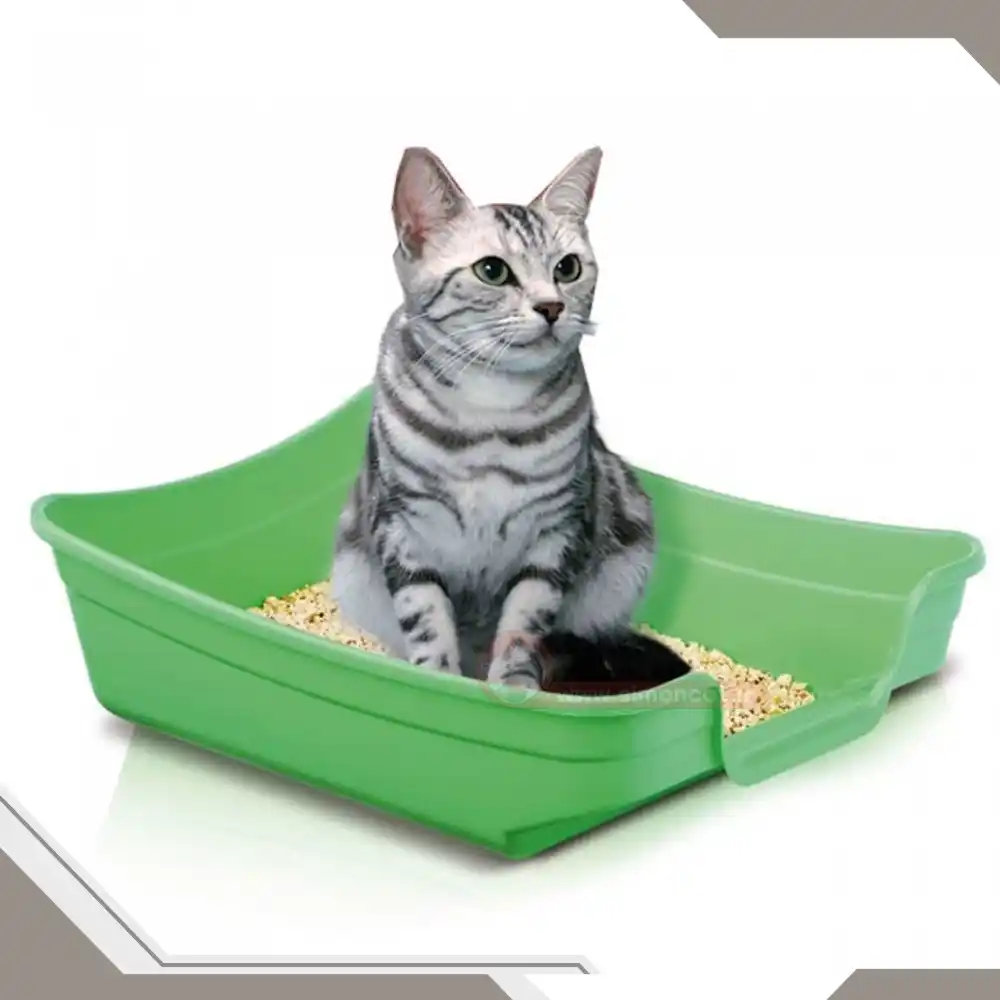 ظرف مخصوص ادرار گربه