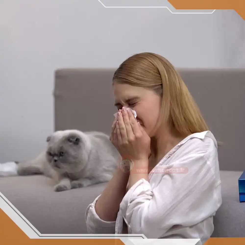 نشان دادن علائم آلرژی به گربه ها