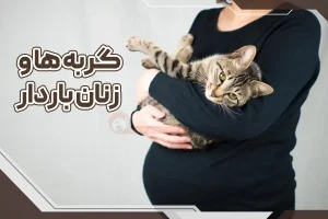 گربه ها و زنان باردار